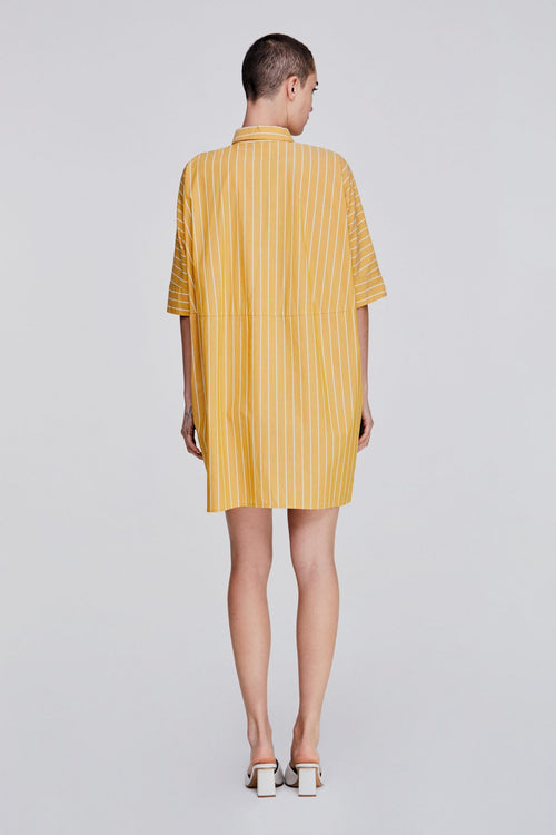 color:MUSTARD