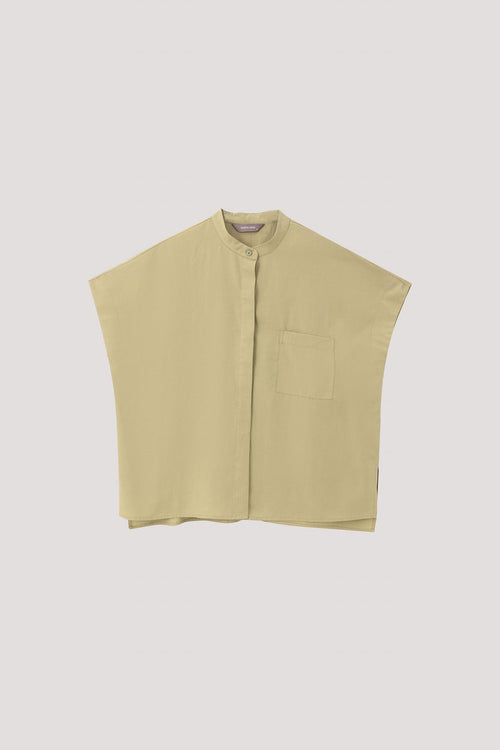 color:AVOCADO