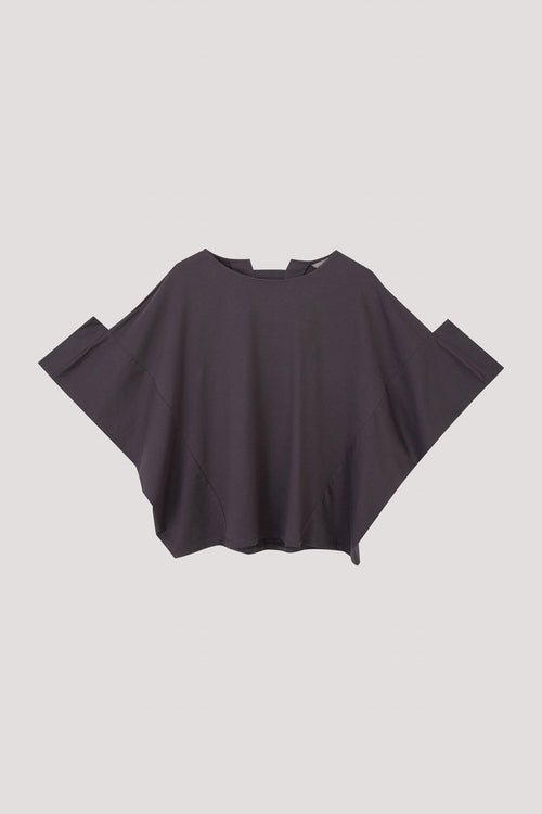 color:CHARCOAL