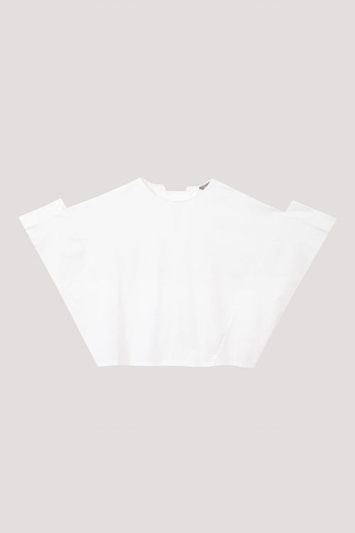 color:IVORY