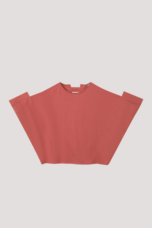 color:SCARLET