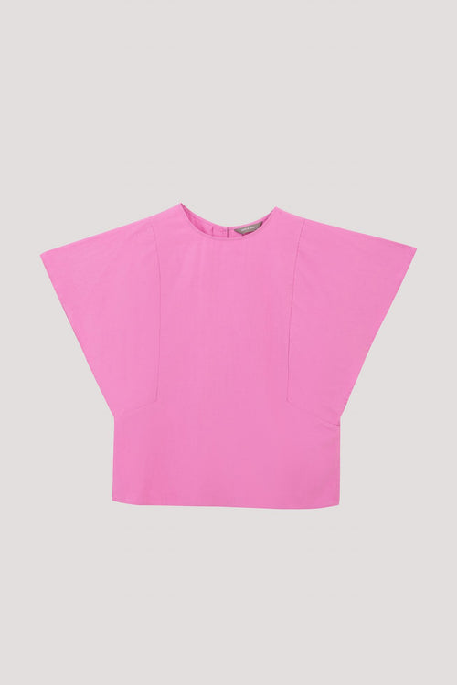 color:FUCHSIA