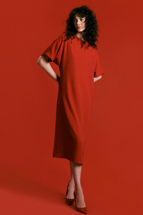 Dolman Sleeve-like Dress