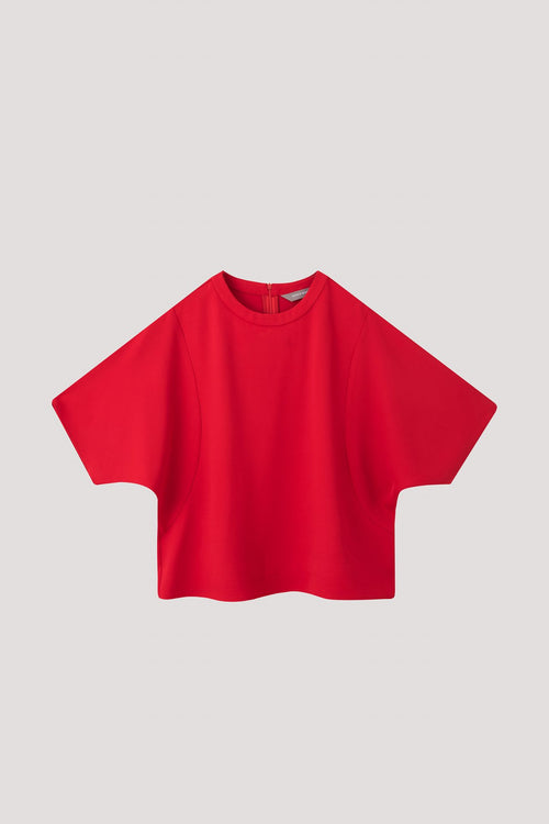 color:CRIMSON