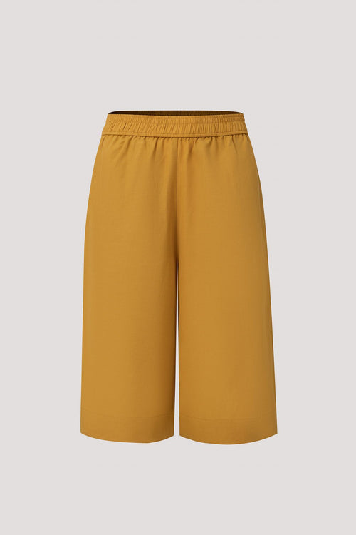 color:MUSTARD