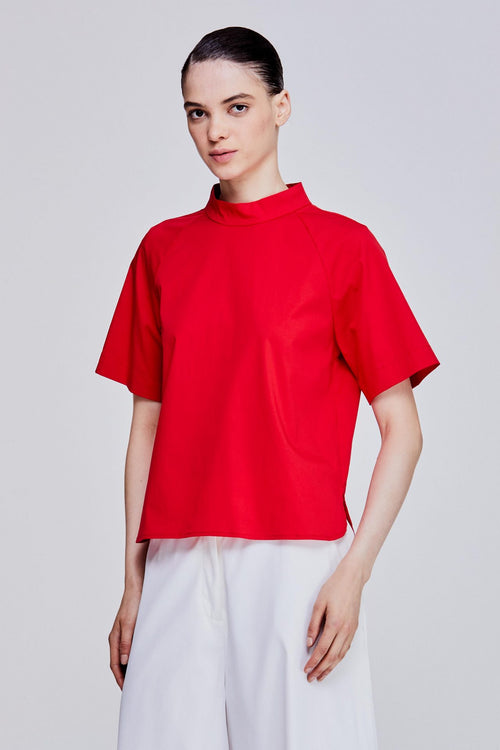 color:SCARLET