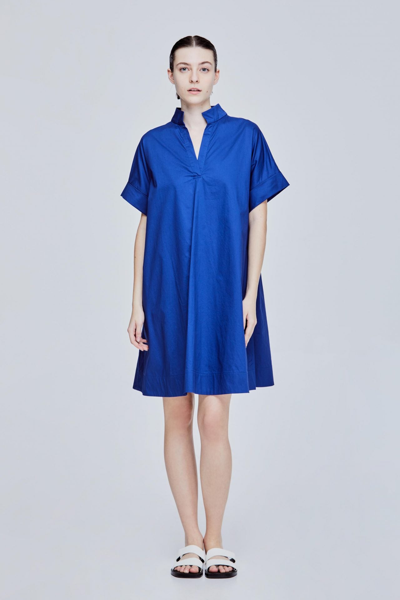 Johnny Collar Flare Dress