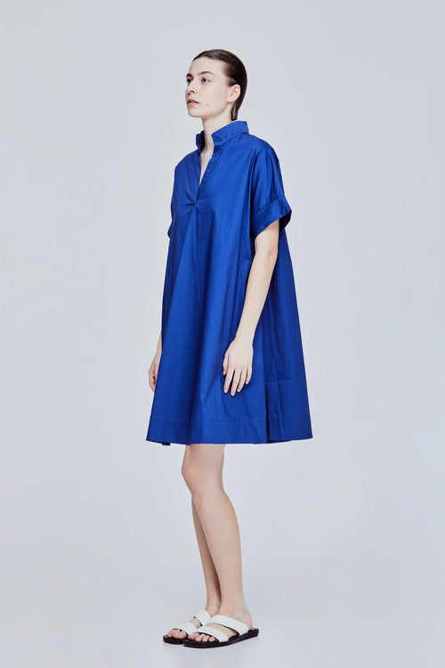 Johnny Collar Flare Dress