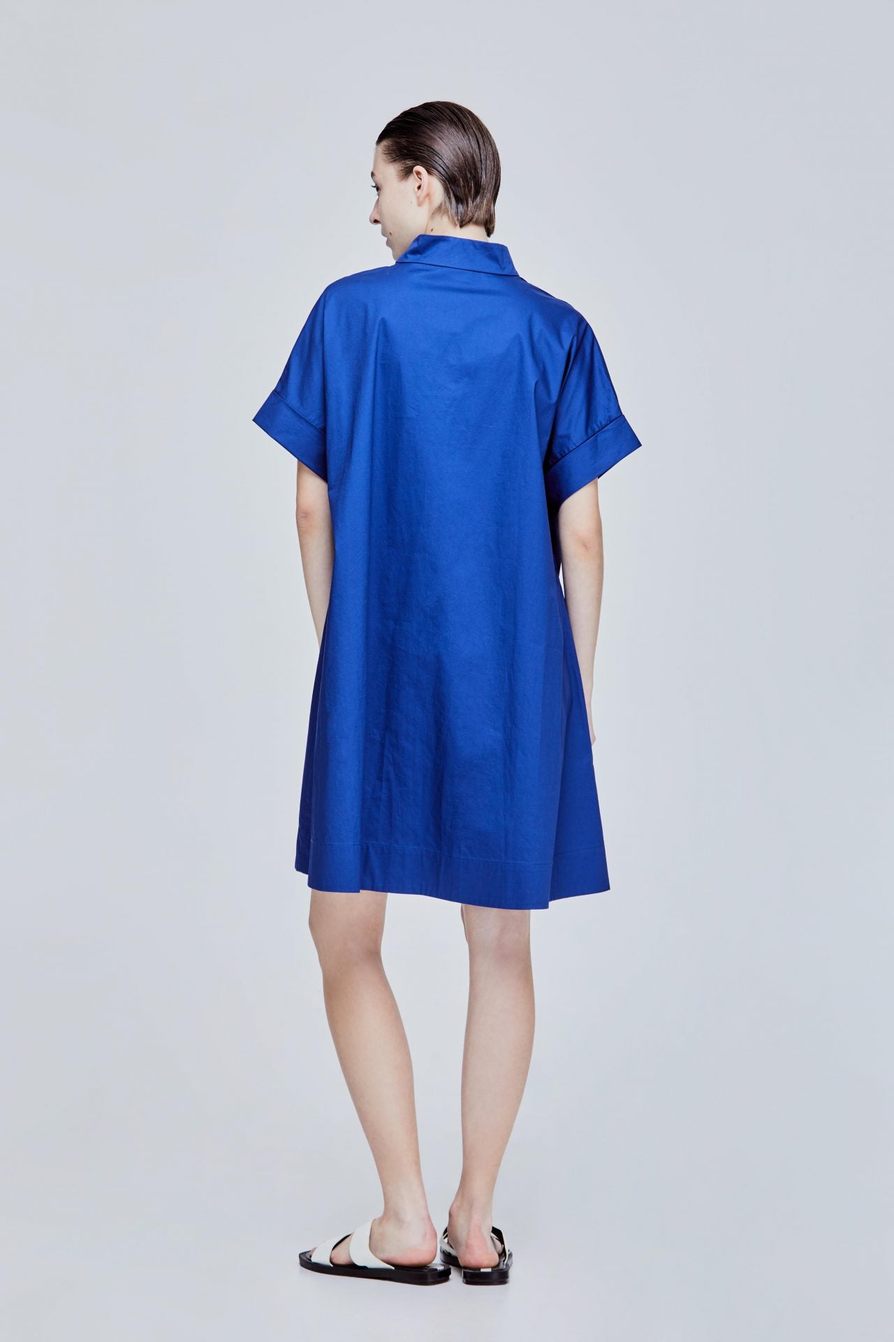 Johnny Collar Flare Dress