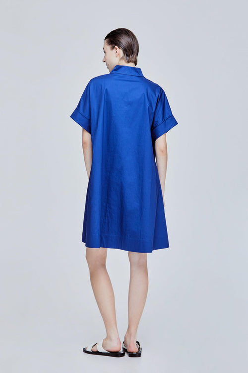 Johnny Collar Flare Dress