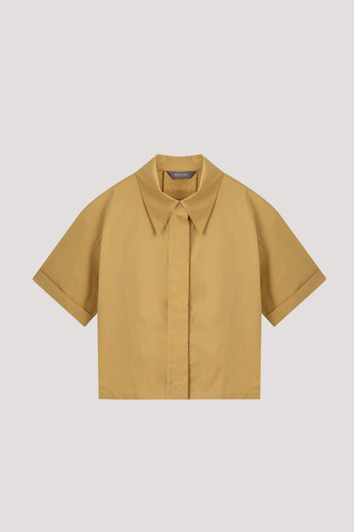color:MELLOW