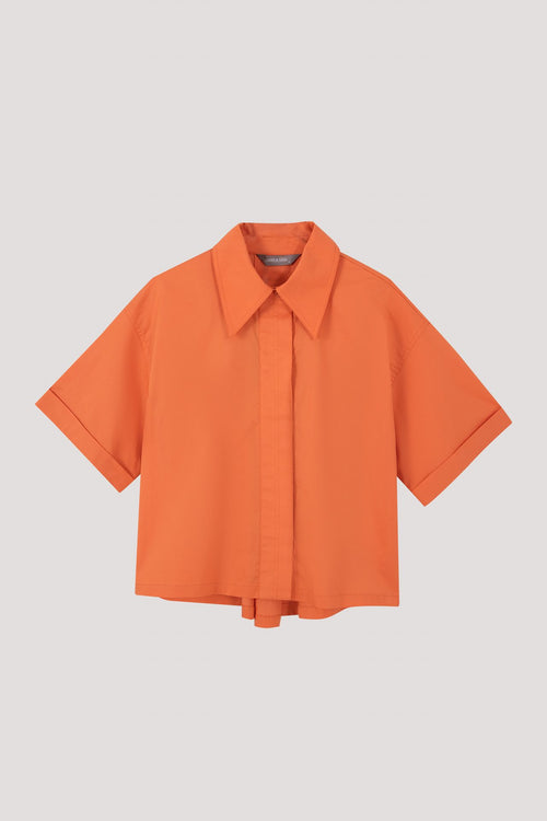 color:ORANGE