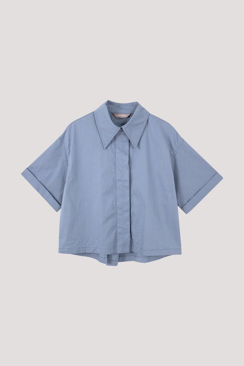 color:STEEL BLUE