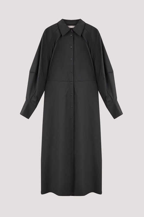 Lantern Sleeved Dress