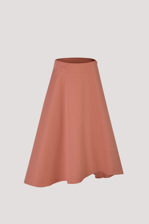 Asymmetrical Flare Skirt