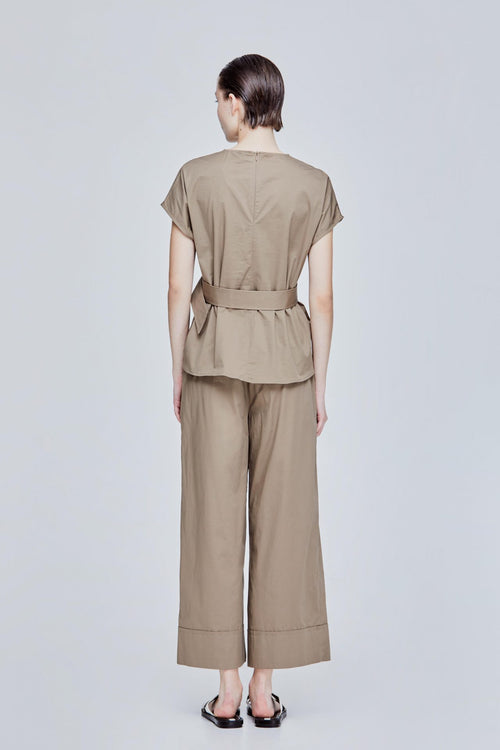 color:BROWN