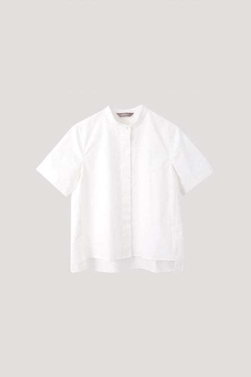 color:IVORY 1