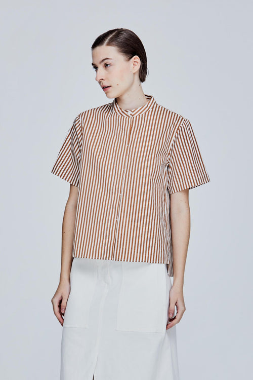 color:STRIPES