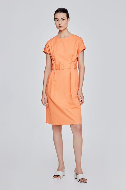 color:APRICOT