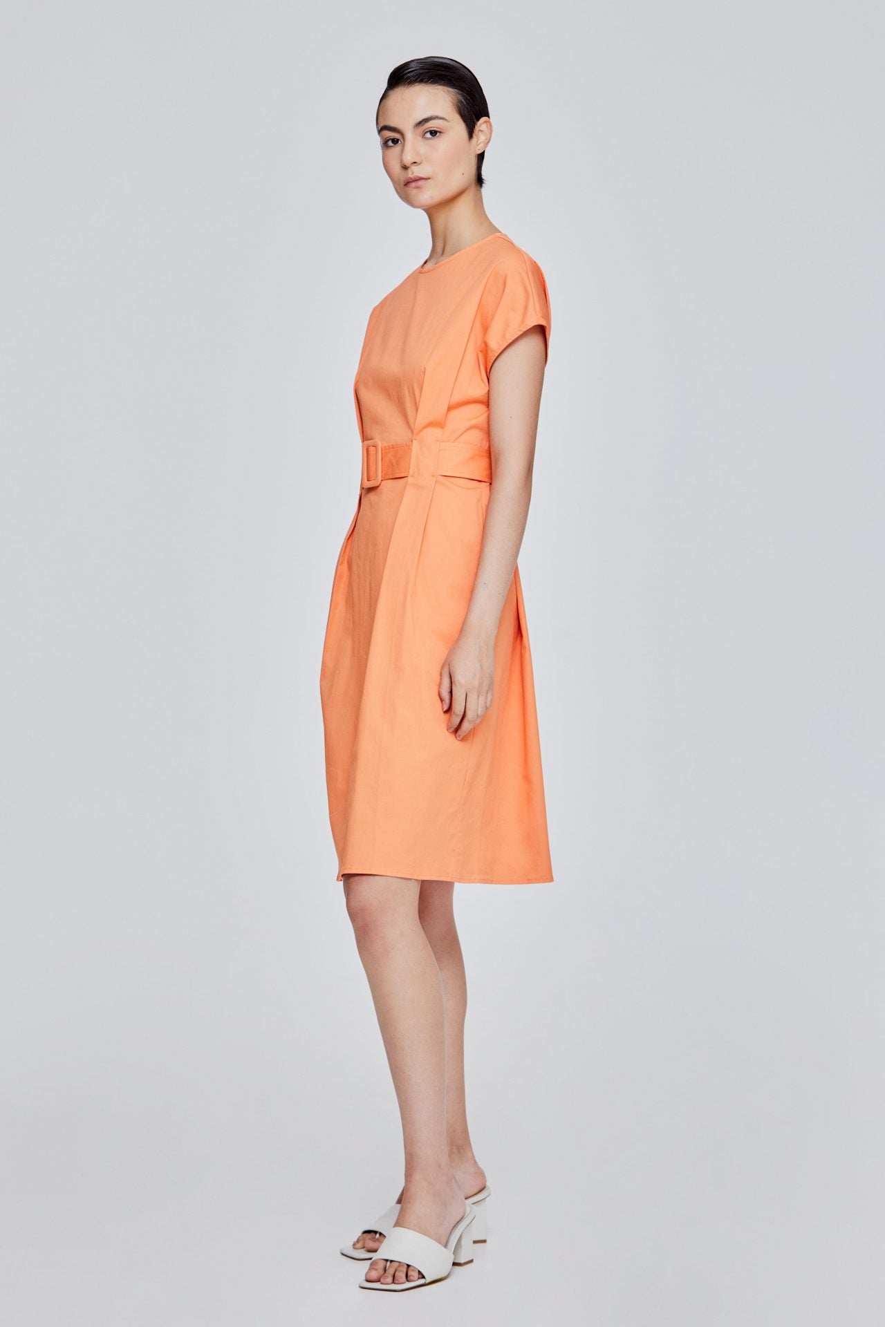 color:APRICOT