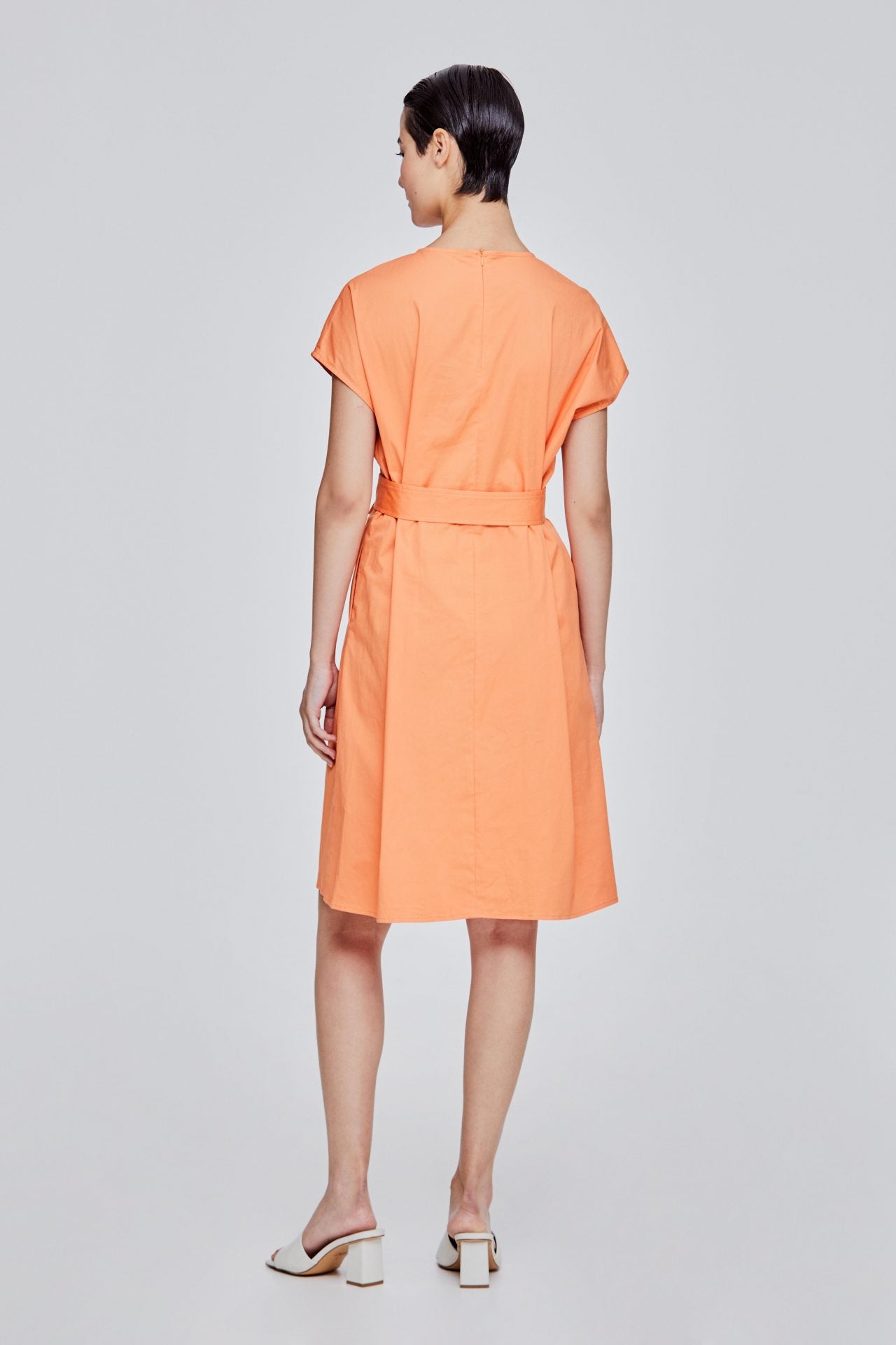 color:APRICOT