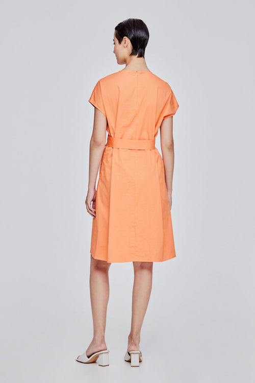 color:APRICOT