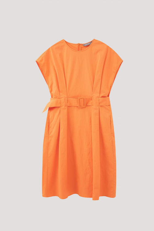 color:APRICOT
