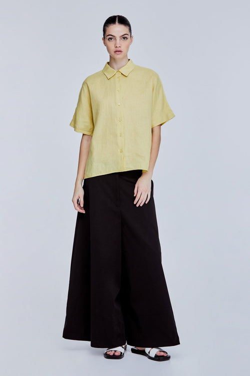 color:CORN