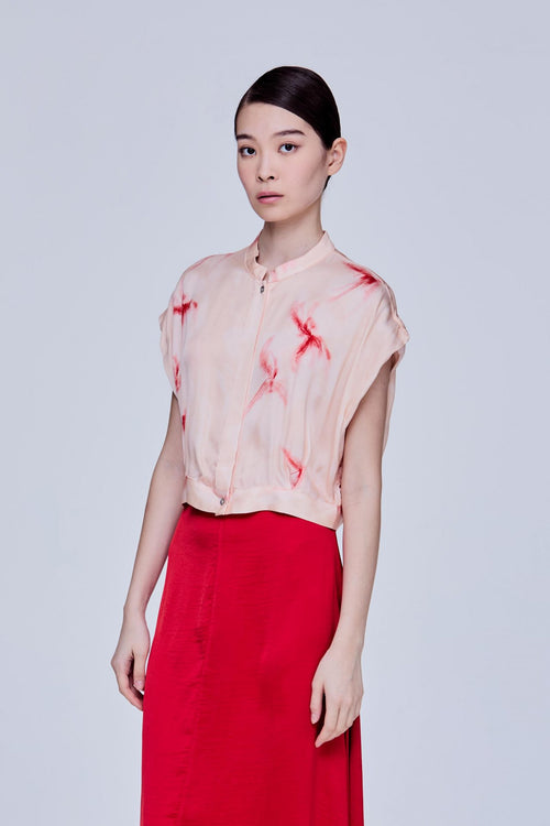 color:BLUSH 2