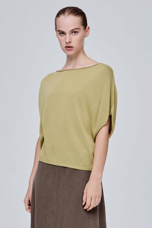 color:TEA GREEN