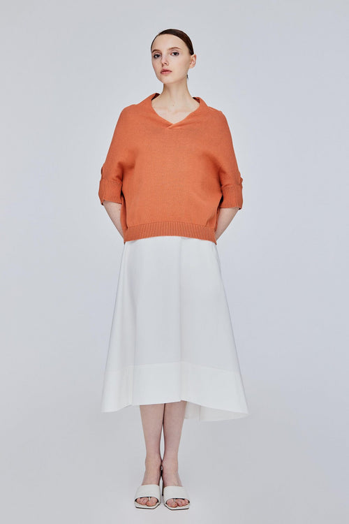 color:SALMON