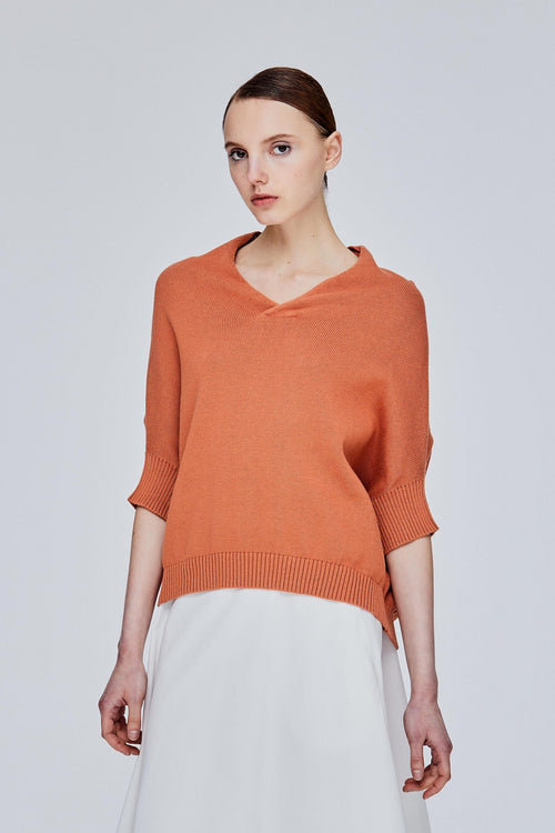 color:SALMON