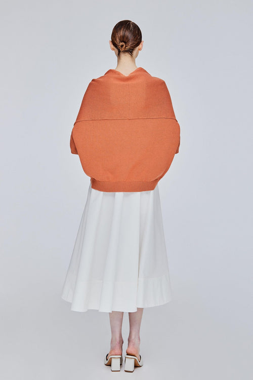 color:SALMON