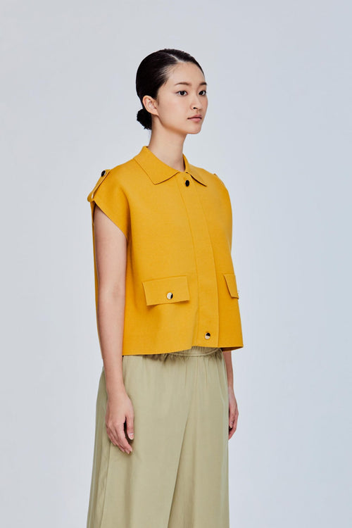 color:MUSTARD