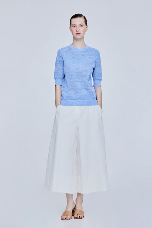 color:CORNFLOWER