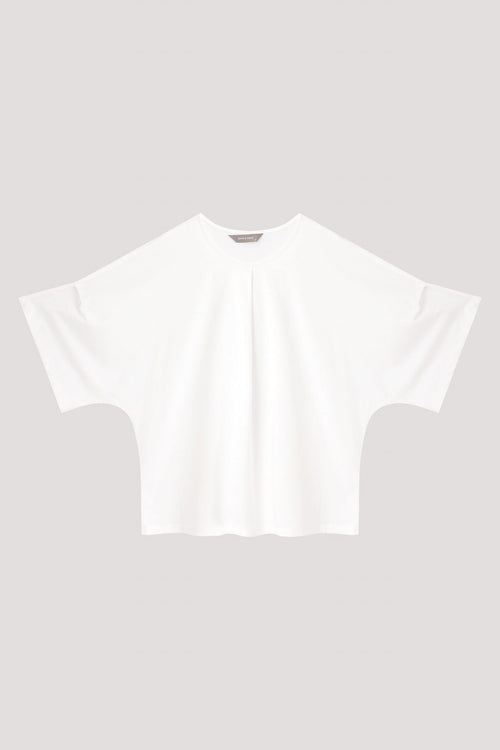 color:CREAM