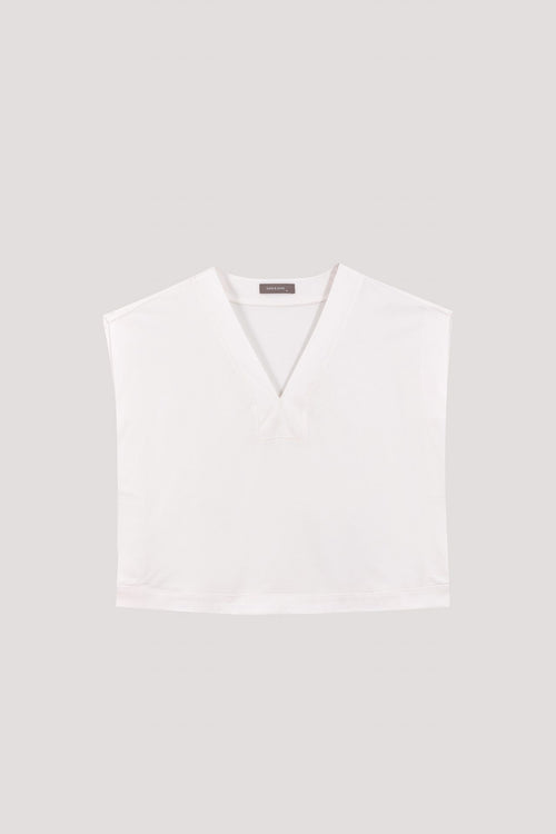 color:IVORY