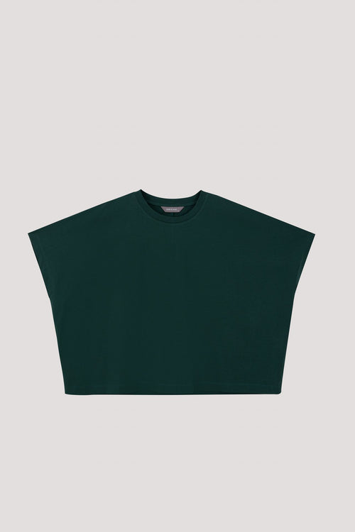 color:DARK GREEN