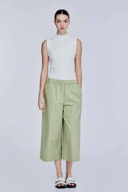 color:OLIVE