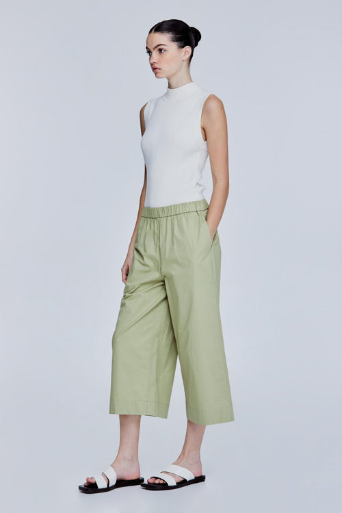 color:OLIVE