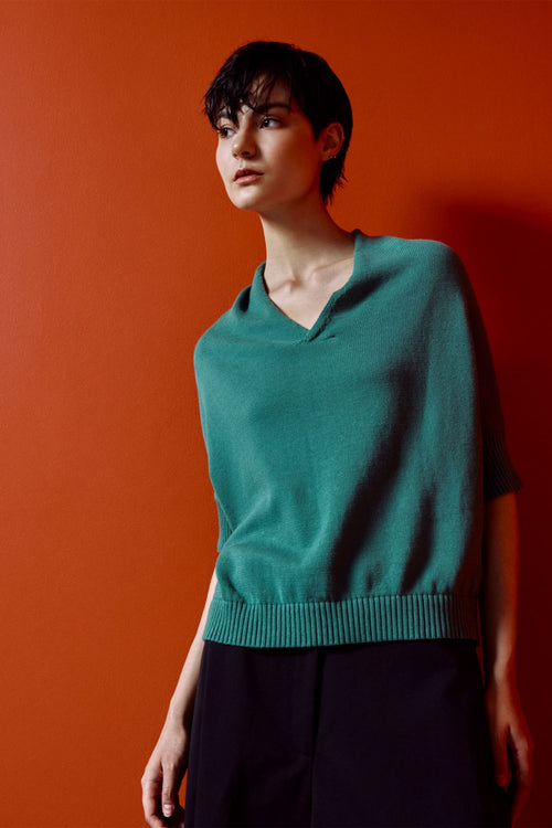 color:PINE