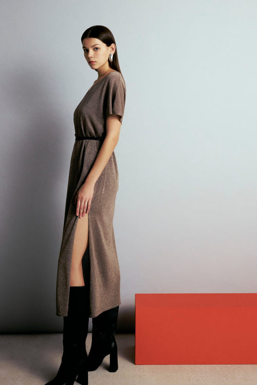 Sheer Knit Dress