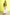EDI_SFKL_000_4201_JS_TOP_OCHRE_1