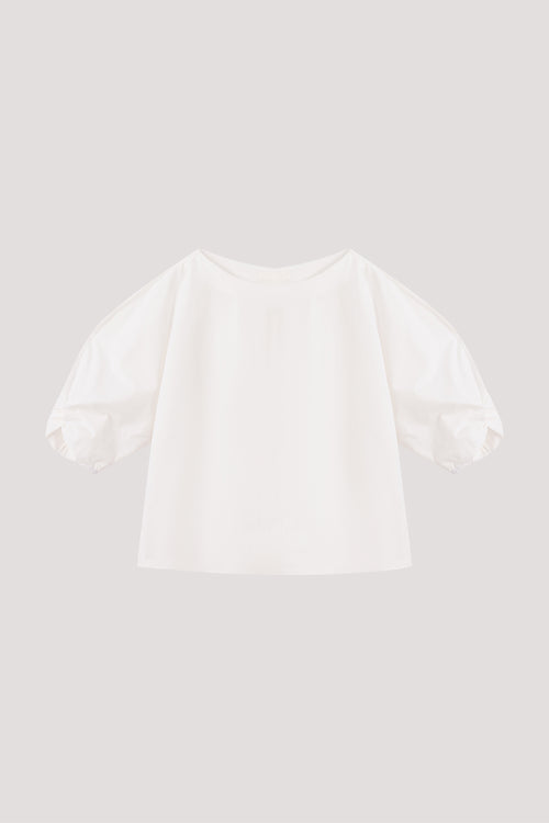 color:IVORY