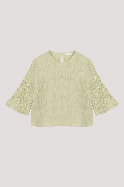 color:LIGHT GREEN