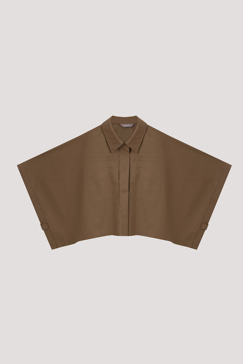 color:COCOA