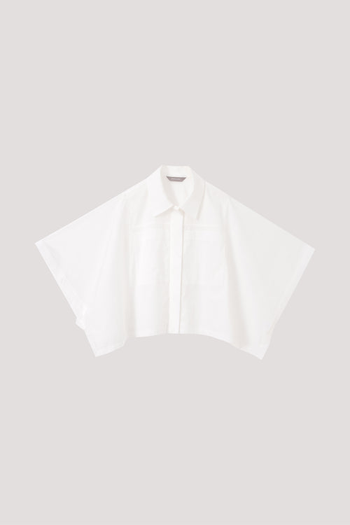 color:IVORY
