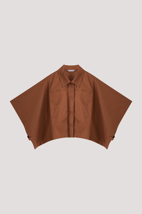 color:BROWN