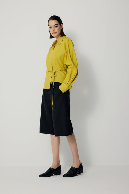 color:LEMON 2