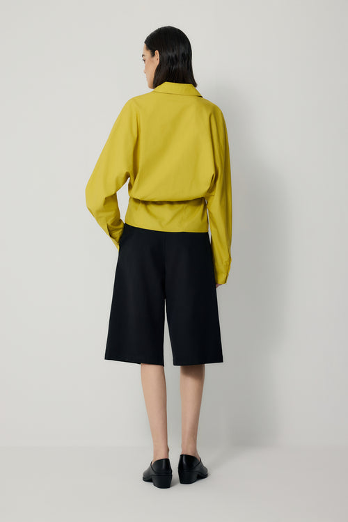 color:LEMON 2